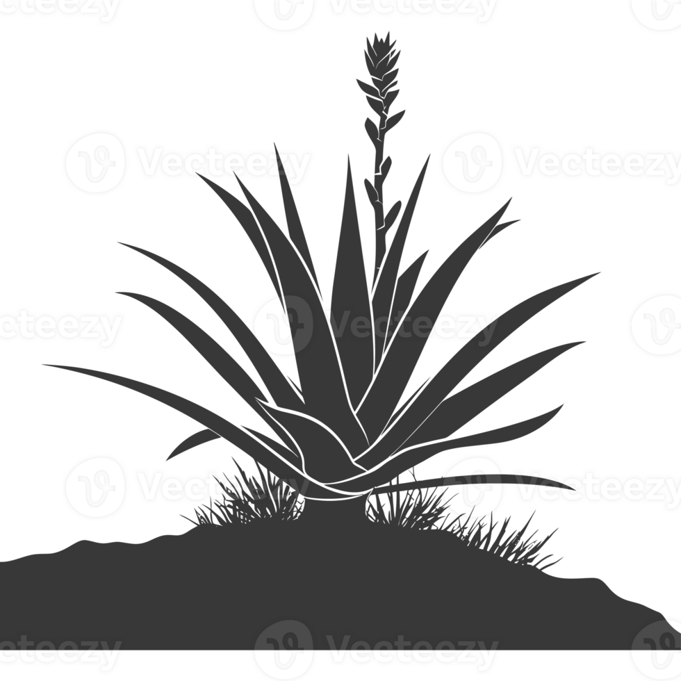 AI generated Silhouette Aloe vera tree in the ground black color only png