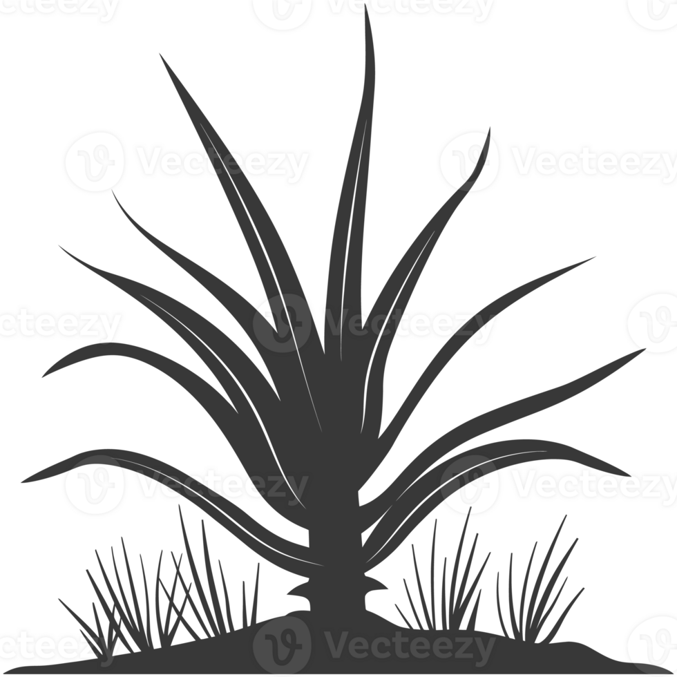 AI generated Silhouette Aloe vera tree in the ground black color only png