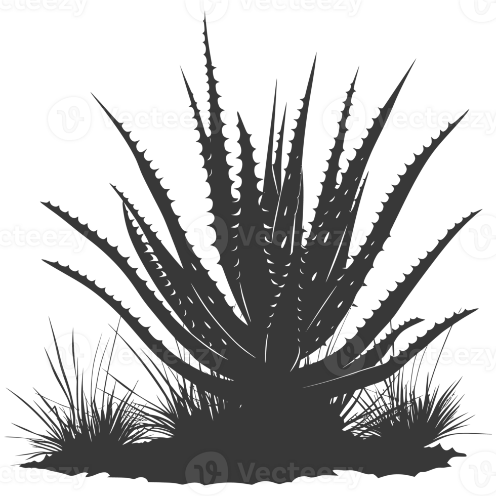 AI generated Silhouette Aloe vera tree in the ground black color only png