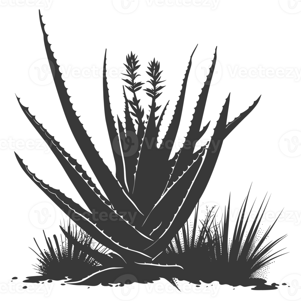 AI generated Silhouette Aloe vera tree in the ground black color only png