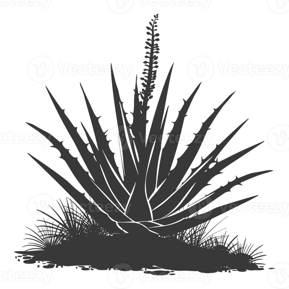 AI generated Silhouette Aloe vera tree in the ground black color only png