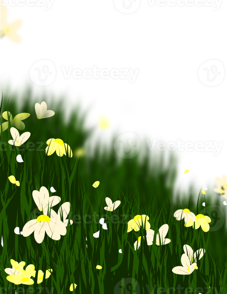 Grass Flowers Frame png