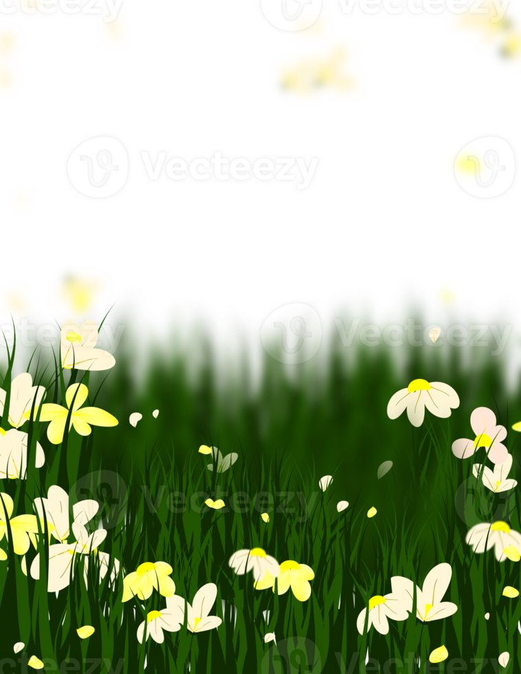 Daisy Flowers Frame png