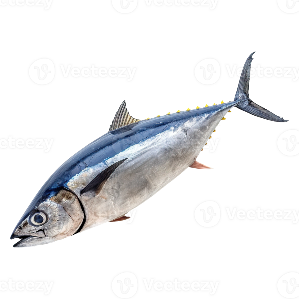 AI generated Tuna fish isolated on transparent background png