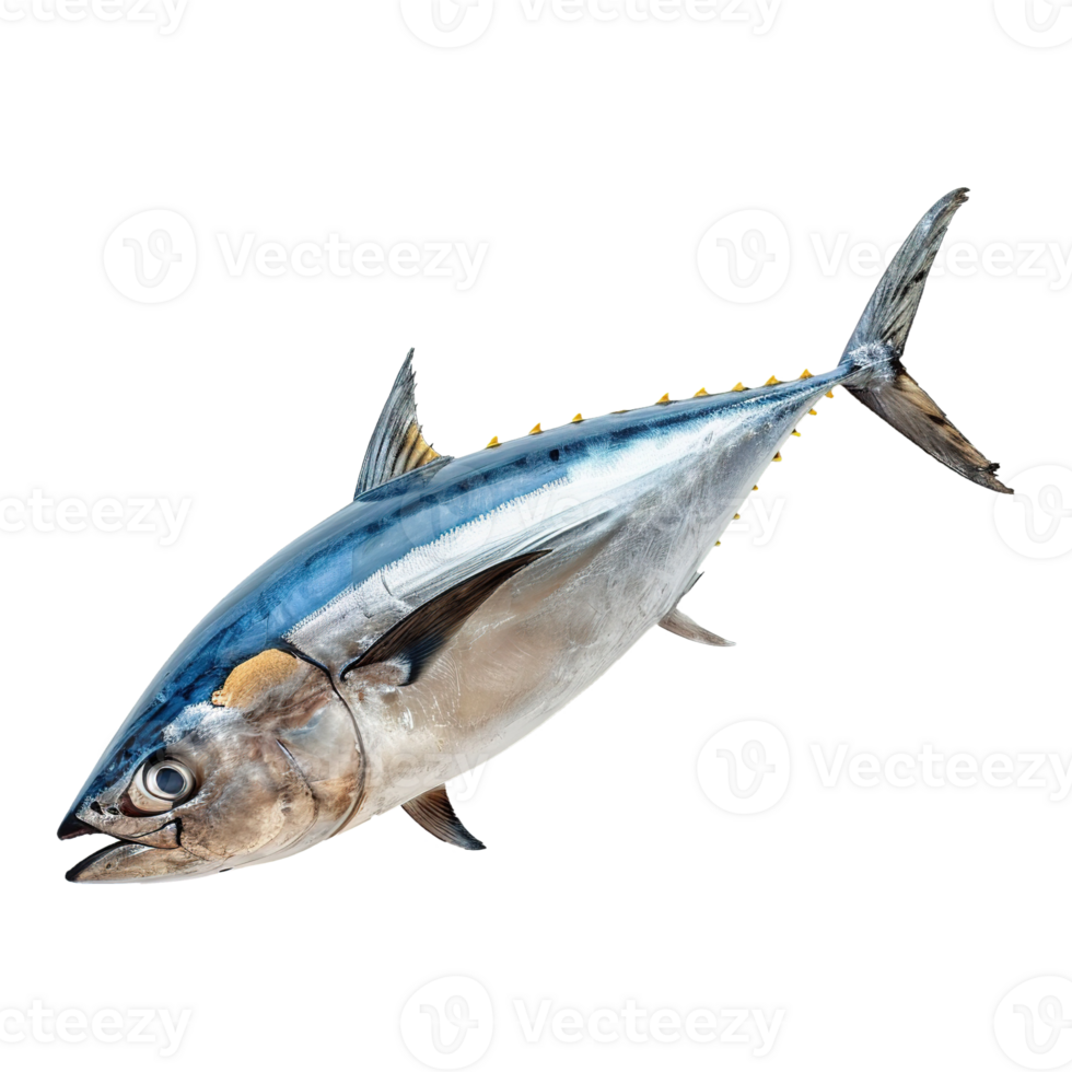 AI generated Tuna fish isolated on transparent background png