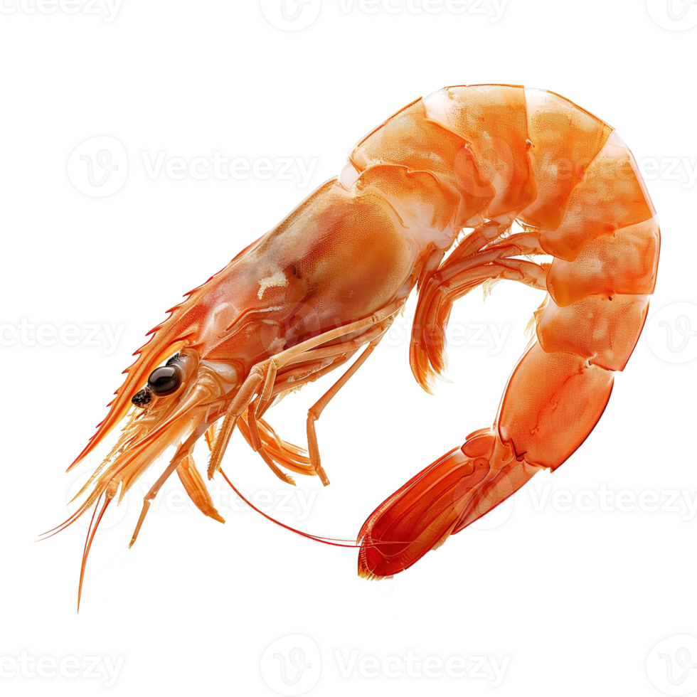 AI generated Shrimp isolated on transparent background png