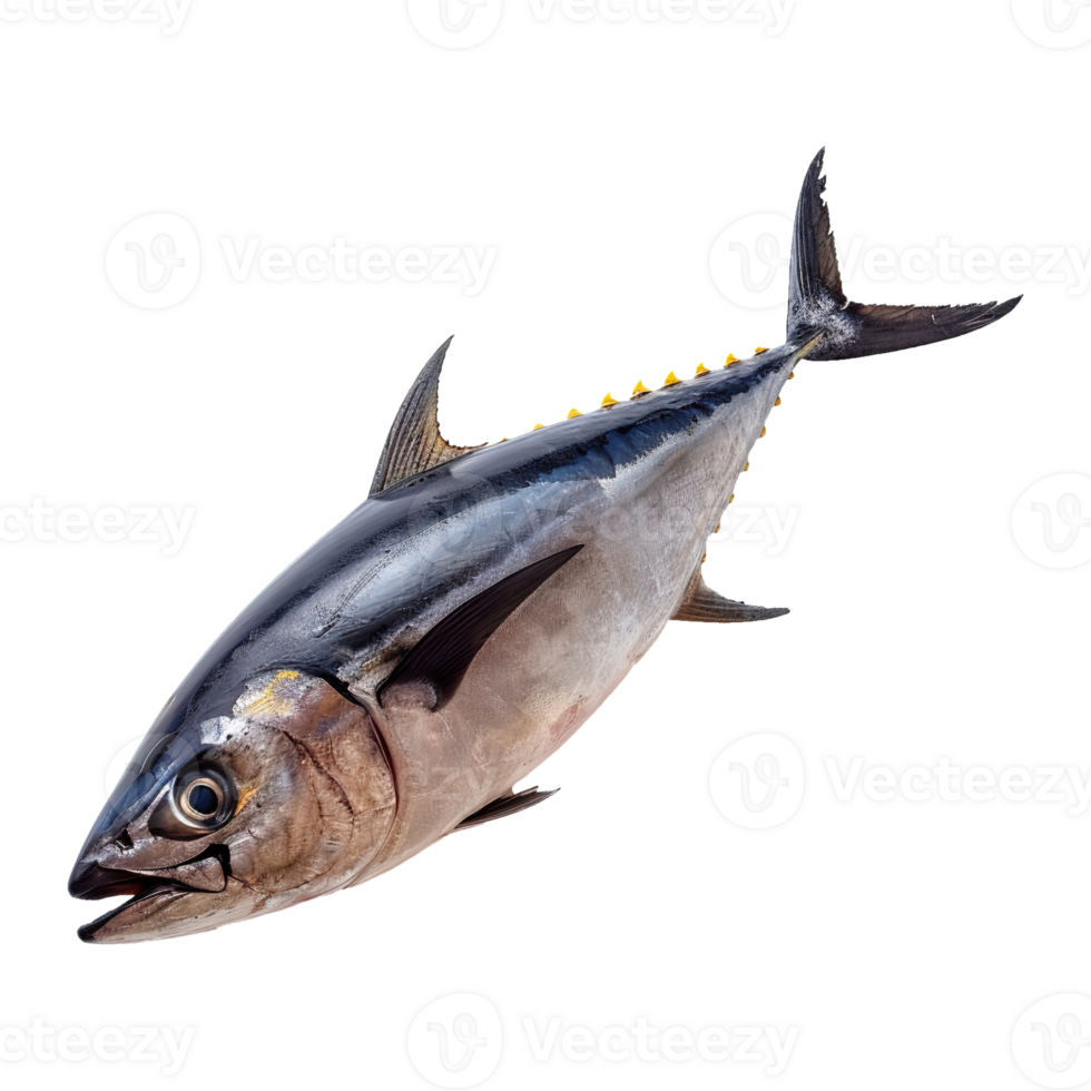 AI generated Tuna fish isolated on transparent background png