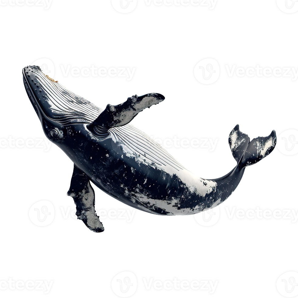 AI generated Whale isolated on transparent background png