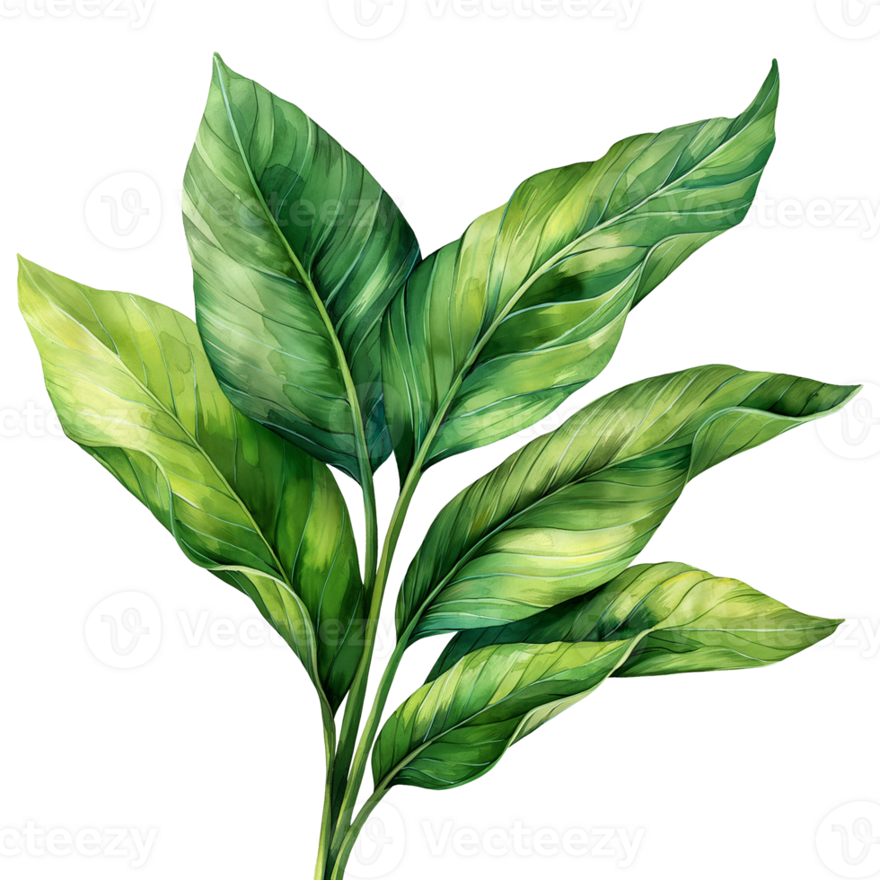 AI generated Watercolor painting of botanical tropical leaves isolated on transparent background. png