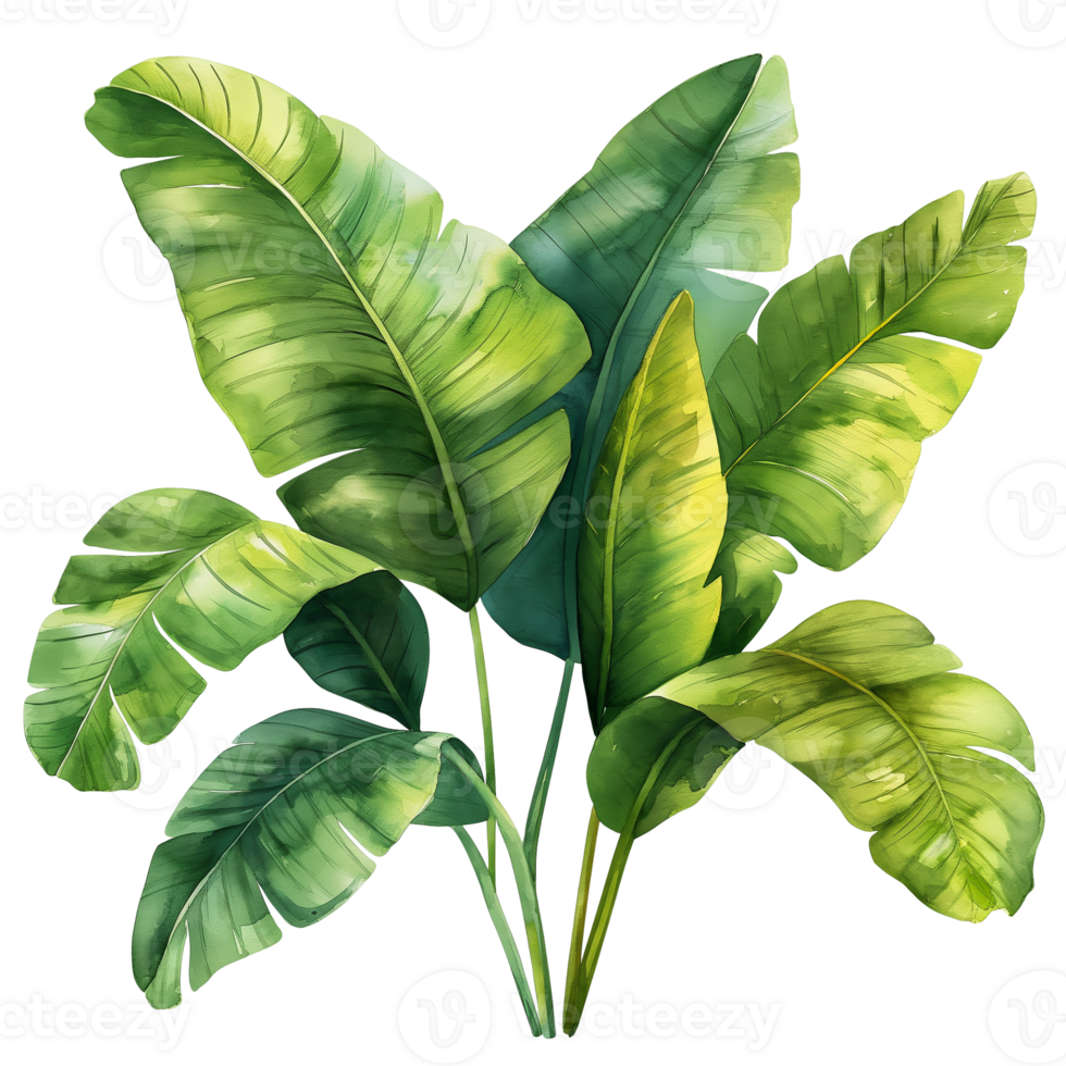 AI generated Watercolor painting of botanical tropical leaves isolated on transparent background. png