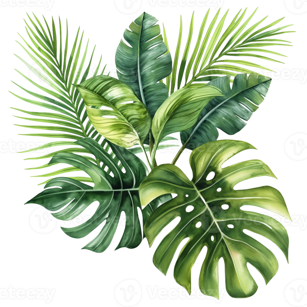 AI generated Watercolor painting of botanical tropical leaves isolated on transparent background. png