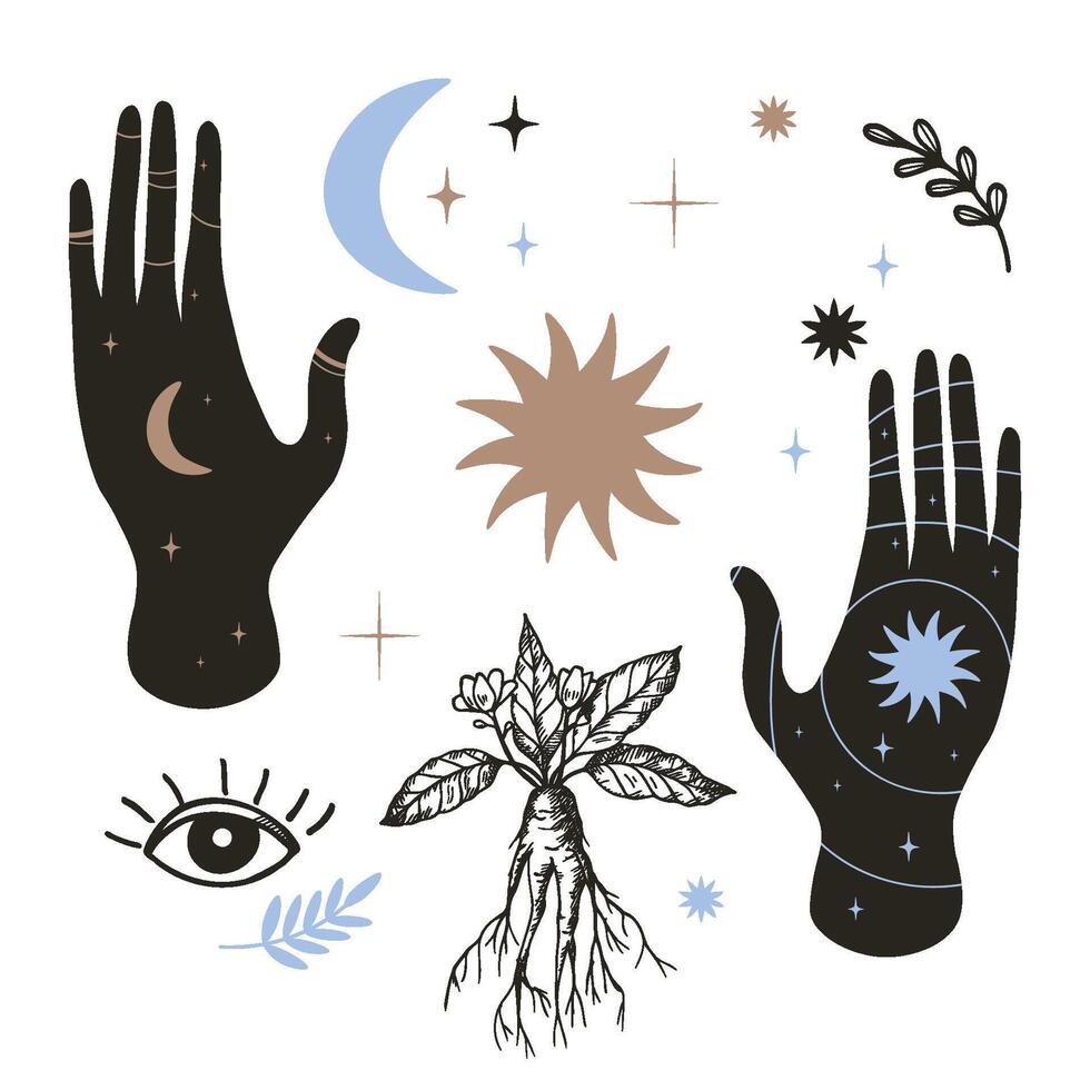 Magic set with mystical hands, sun, moon, star, plant, mandrake flowers, leaf, all-seeing eye hand drawn isolated vector illustration. Design boho background for print, card, paper, logo, paper, sign