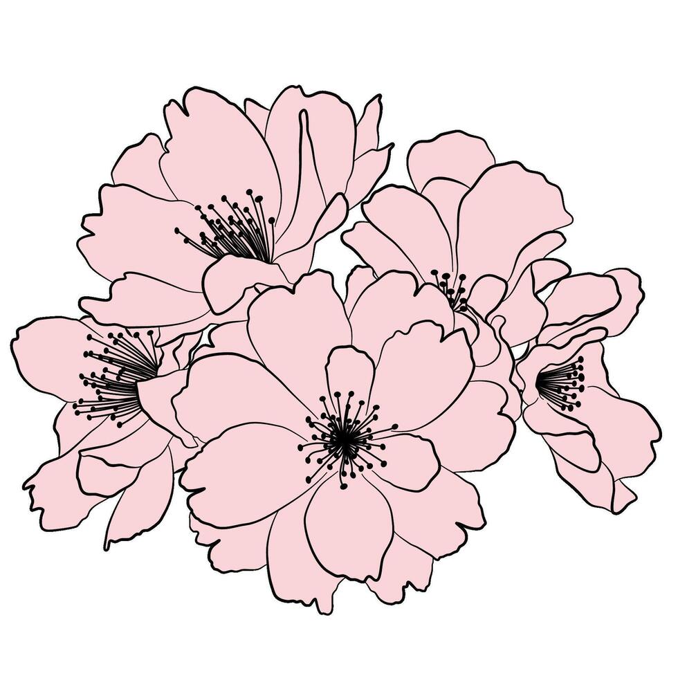 rosado Cereza flores negro línea Arte vector