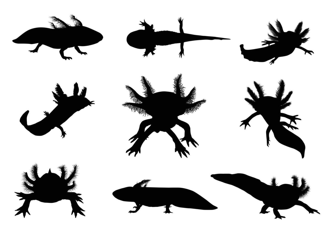 Axolotl silhouette vector with details