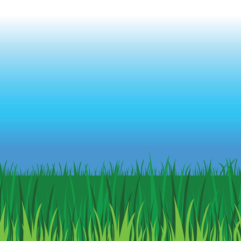 Empty blue sky and tall green grasses copy spaced vector illustration background isolated on square template.