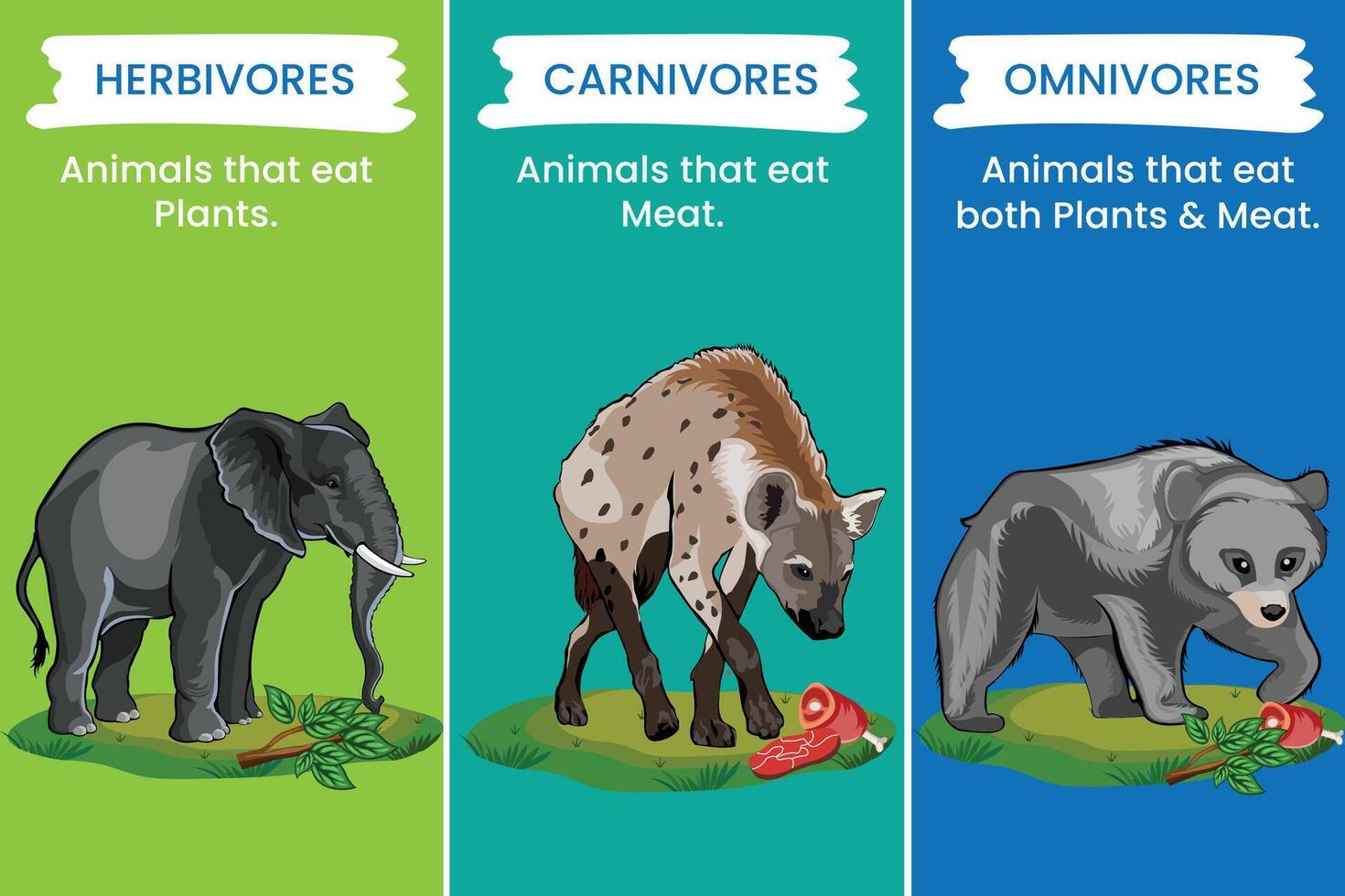 herbívoros comer plantas, omnívoros comer ambos plantas y animales, carnívoros presa en animales vector