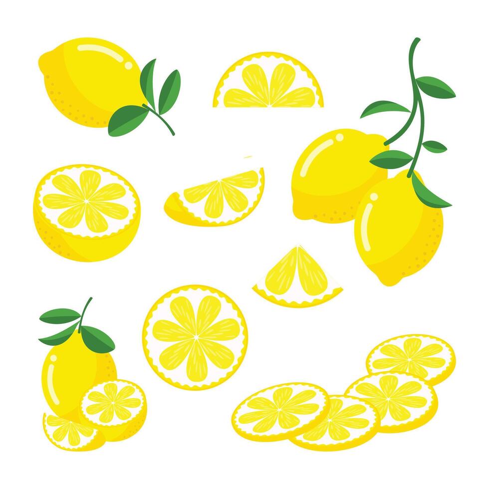 Set of whole, cut in half, sliced on pieces lemon isolated on white background vector