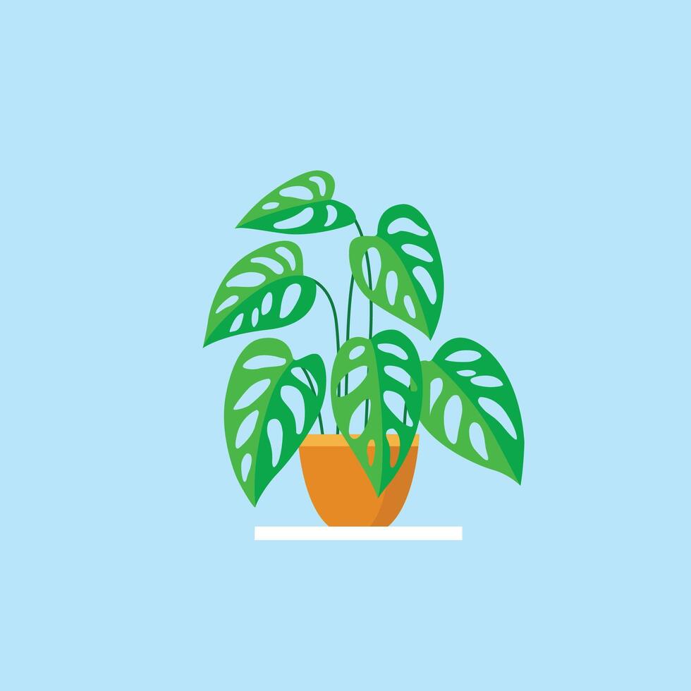 ilustración de monstera planta vector