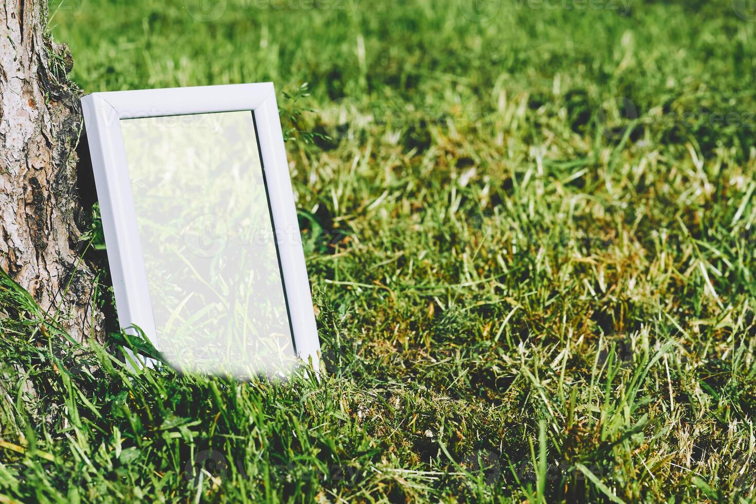 White frame for text on freshly cut grass photo