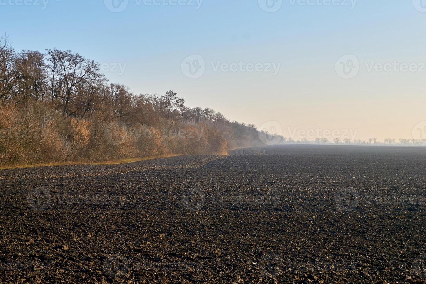 Agricultural plowed spring field before planting photo