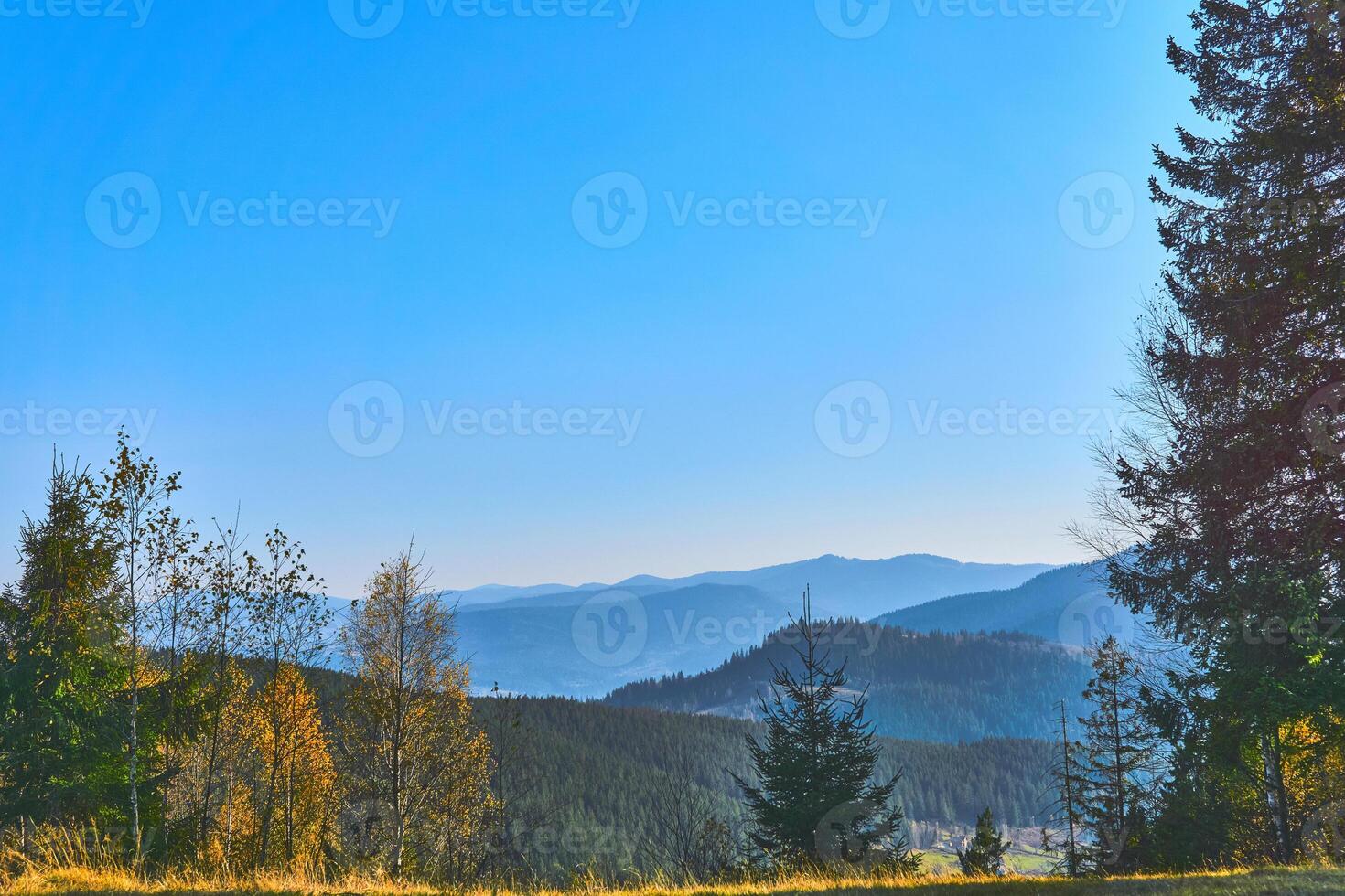 Mountains range. Autumn orange trees and green firs on a sunny day photo