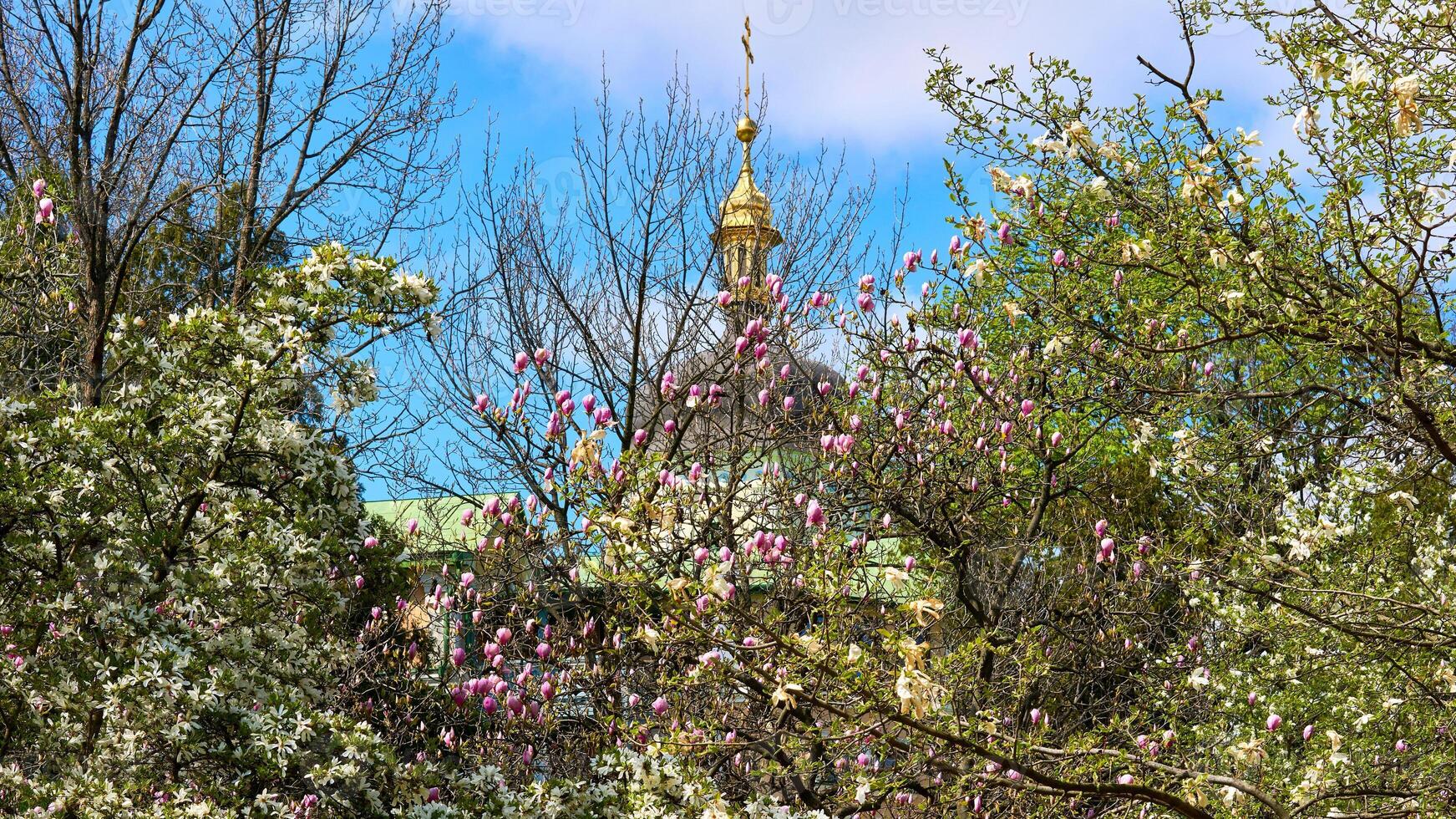 Spring Easter mood. Church with golden domes, blooming magnolia garden photo