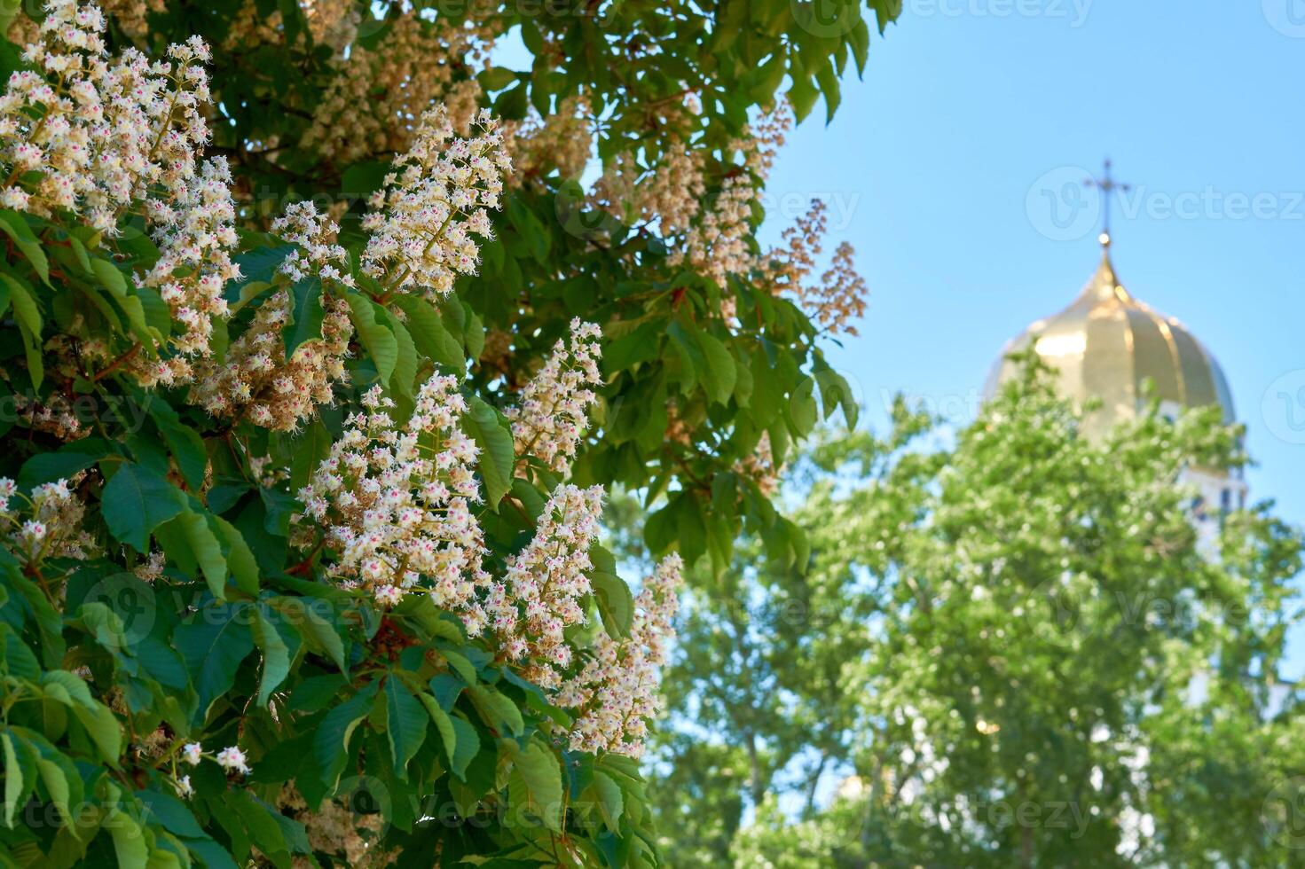 floración castaña Pascua de Resurrección sucursales, hermosa iglesia, cielo y verdor foto