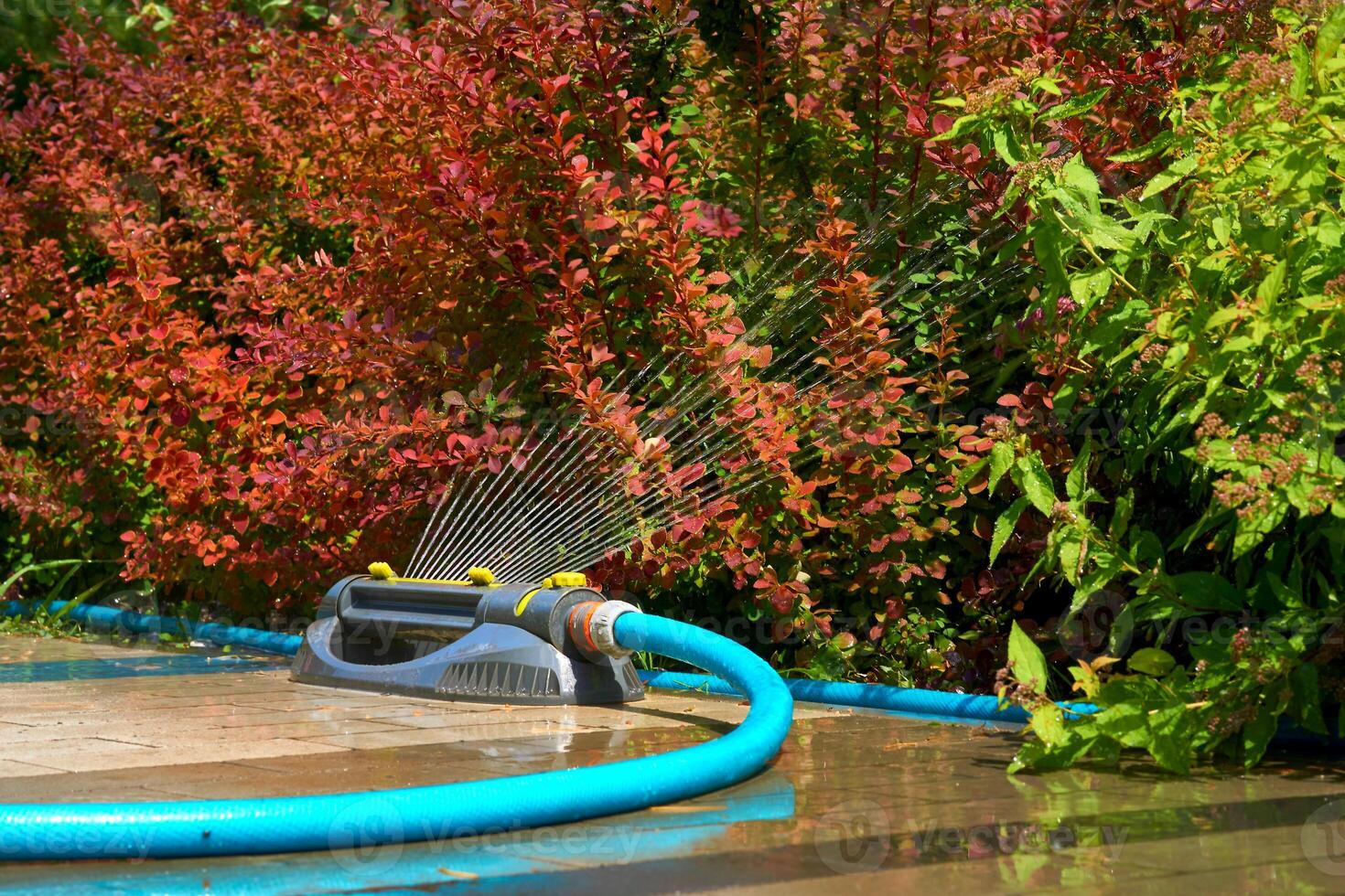 Sprinkler watering flowers on a hot day in a city park. Irrigation system photo