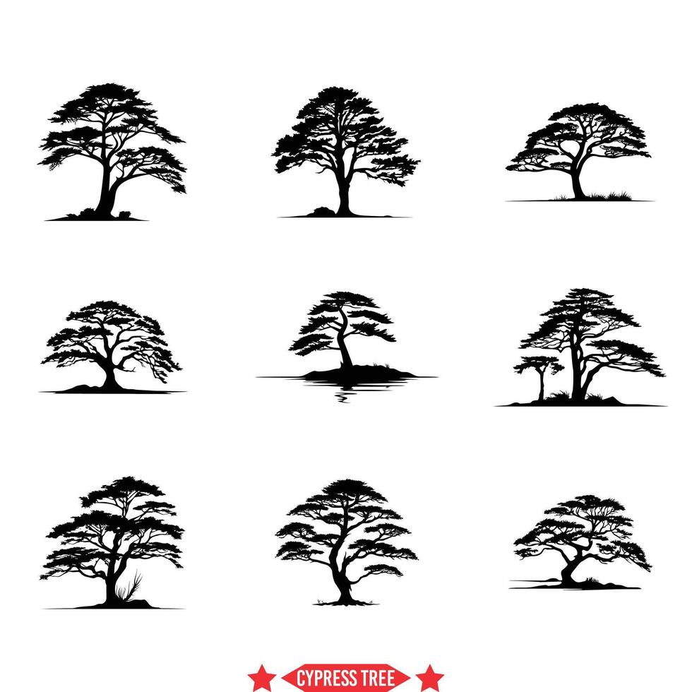 Cypress Tree Vector Set Timeless Silhouettes for Artistic Inspirations