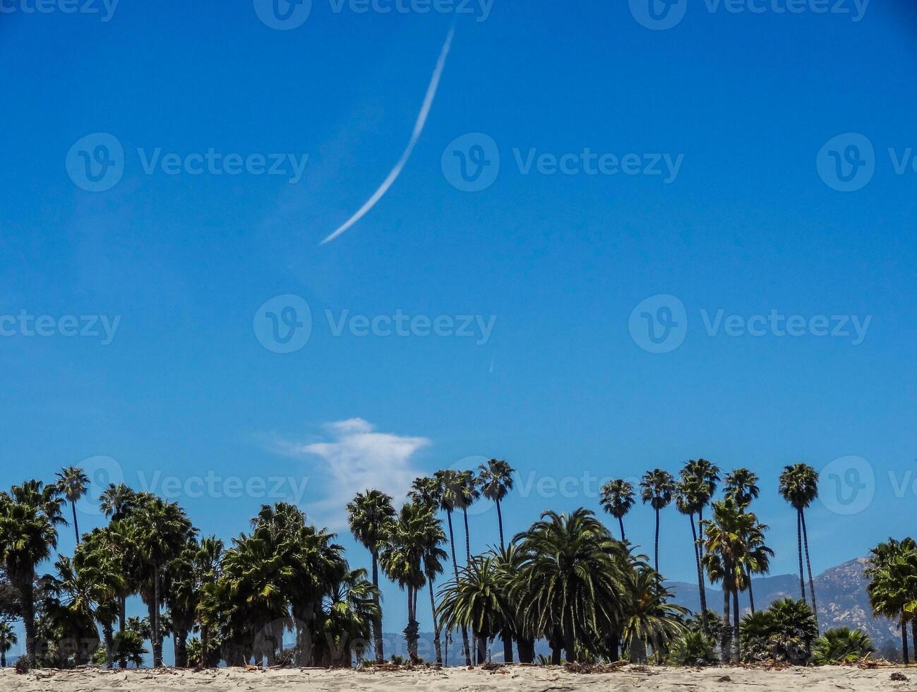 palma arboles a playa en California. azul cielo foto