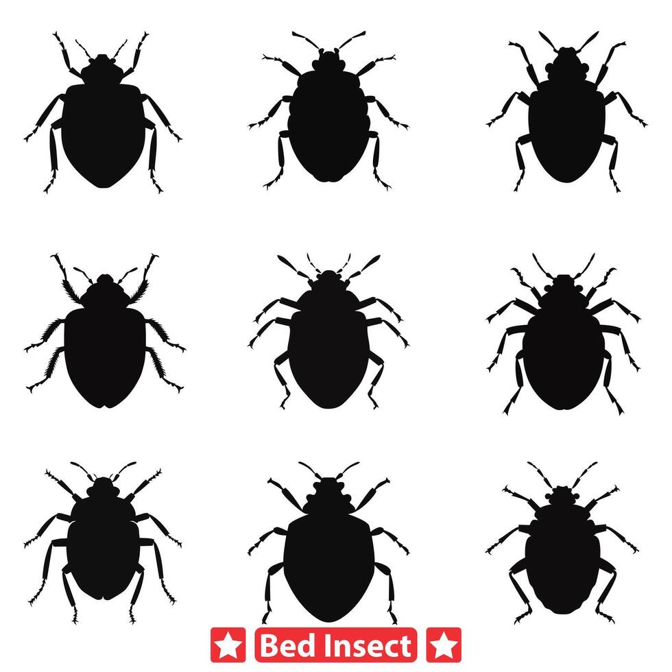insecto infestación alerta detallado cama error vector colección para salud conciencia