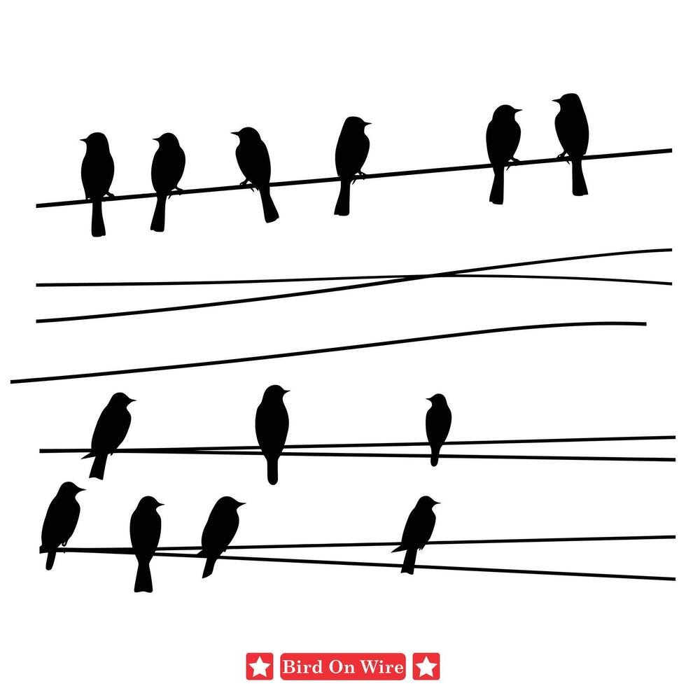 Skyline Serenade Breathtaking Birds on Wire Vector Collection