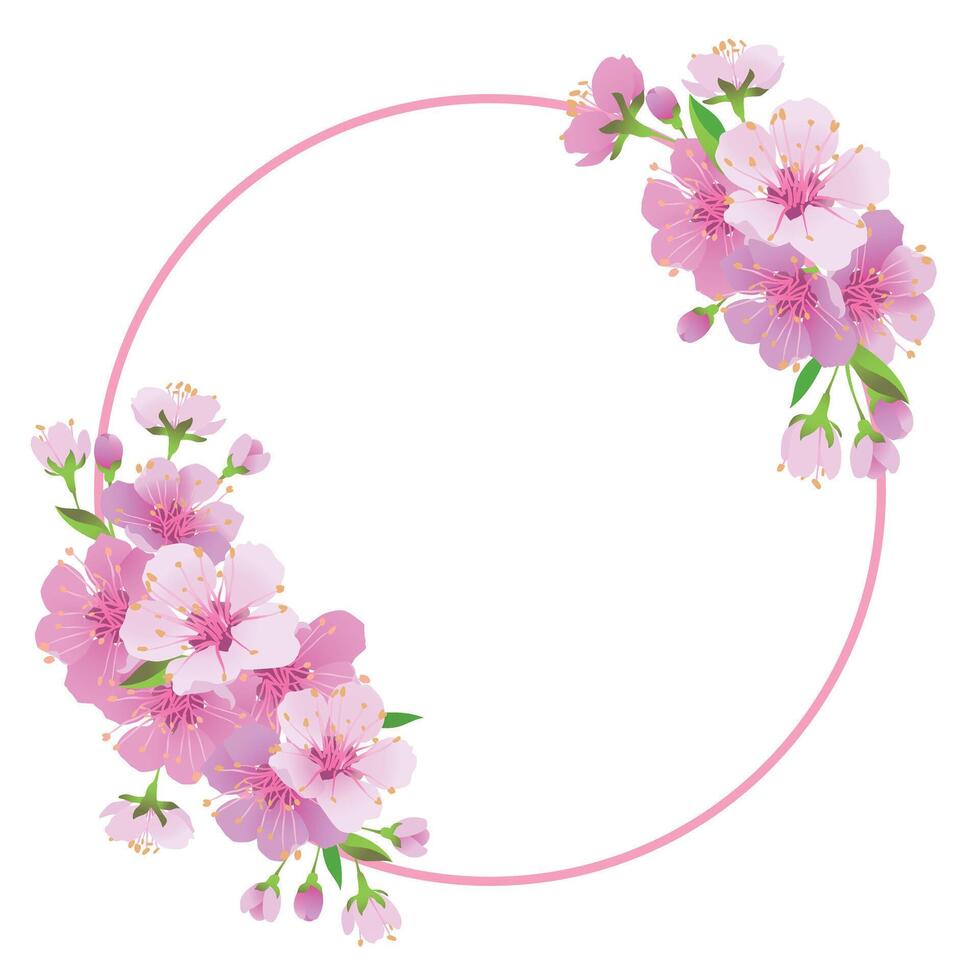Vector wreath of sakura. Round frame with branches of cherry blossoms. Pink Edo-Higan flowers on a white background. Composition for a wedding invitation, congratulations on Mother's Day.