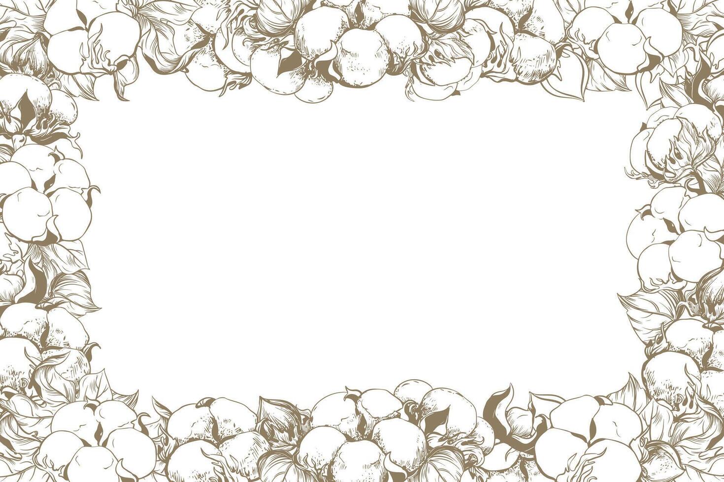Rectangular horizontal frame with cotton flowers and space for text. Botanical sketch of white cotton balls, leaves and branches. Retro ink vector illustration. Design for label, wedding invitation.