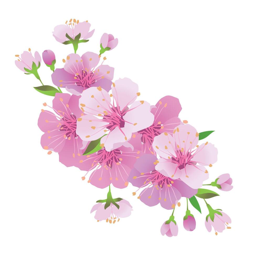 Realistic Japanese cherry sakura branch with pink flowers. Vector illustration of cheerful flowers. Composition for a Mother's Day greeting card or wedding invitation. Hanami Festival in Japan.