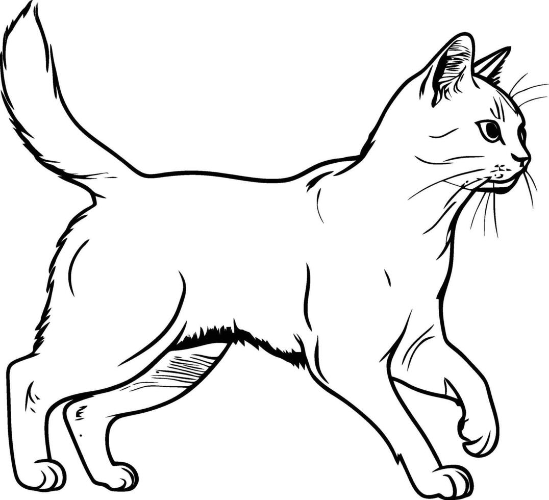 a cat sketch on white, walking cat line art, pet cat, cute white cat, pussy cat vector