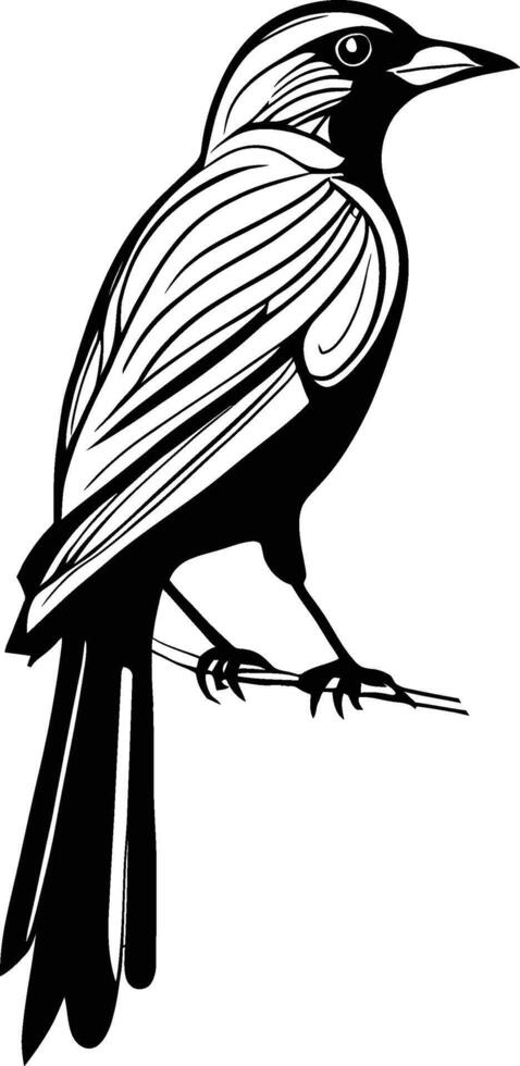 small flying bird on a branch line art silhouette vector