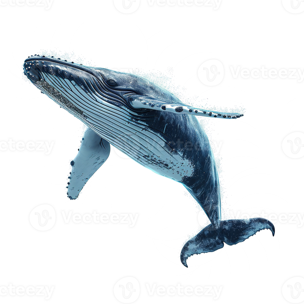 AI generated Whale isolated on transparent background png