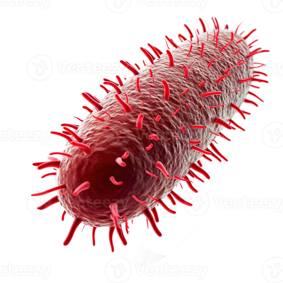 AI generated Microbe isolated on transparent background png