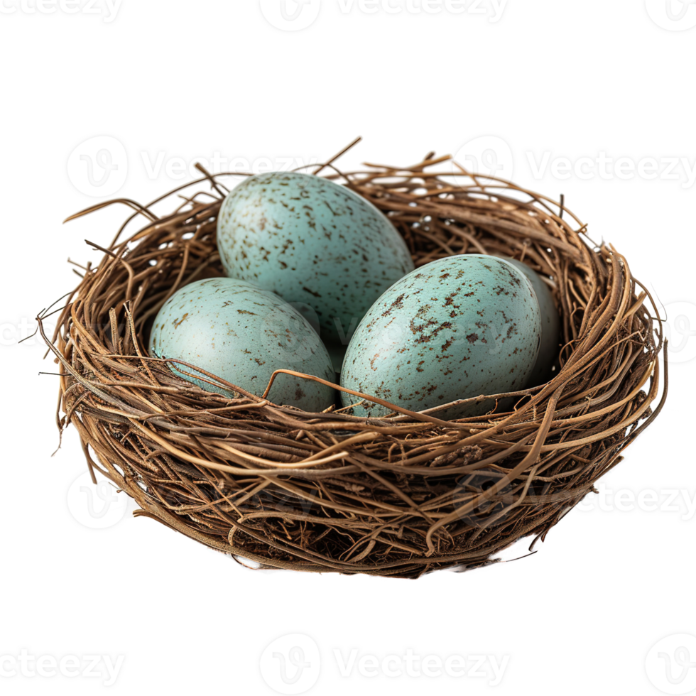 AI generated Eggs in nest isolated on transparent background png