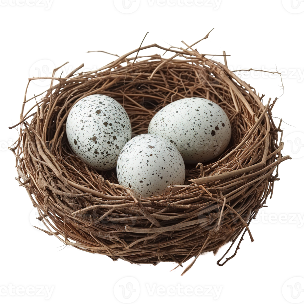 AI generated Eggs in nest isolated on transparent background png