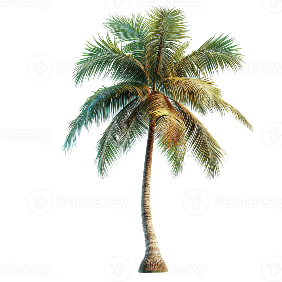 AI generated Coconut palm tree isolated on transparent background png