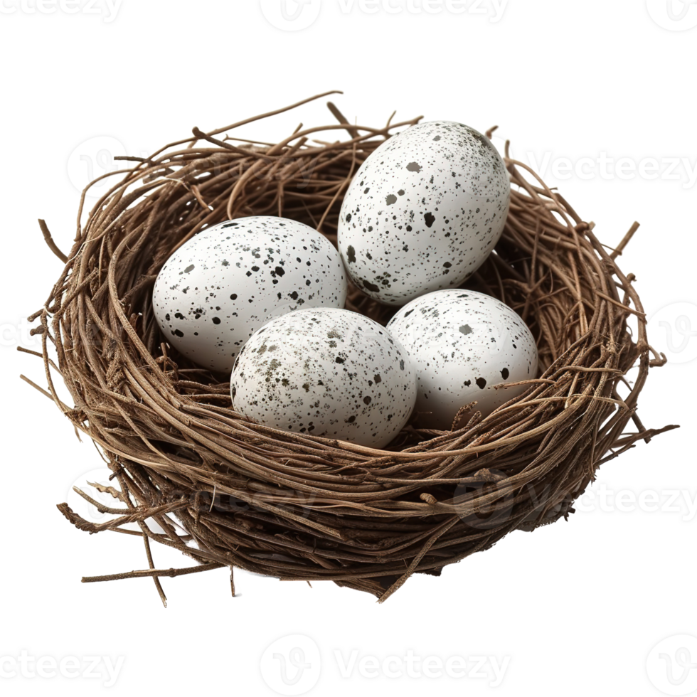 AI generated Eggs in nest isolated on transparent background png
