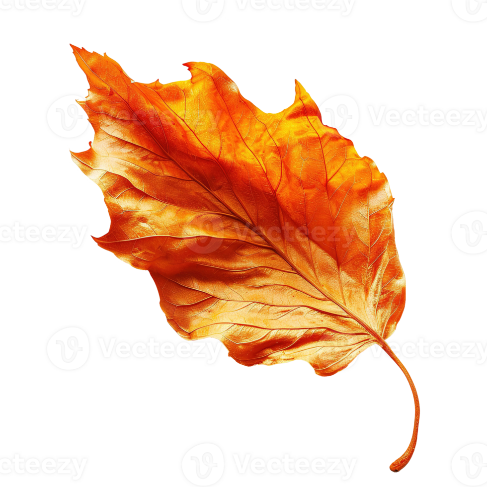 AI generated Autumn leaf isolated on transparent background png