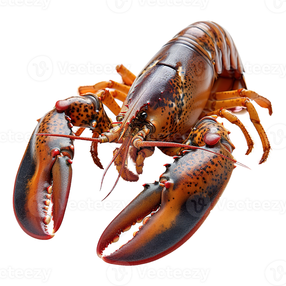 AI generated Lobster isolated on transparent background png