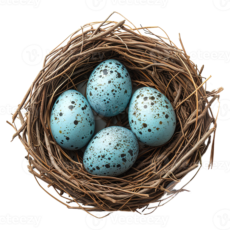 AI generated Eggs in nest isolated on transparent background png