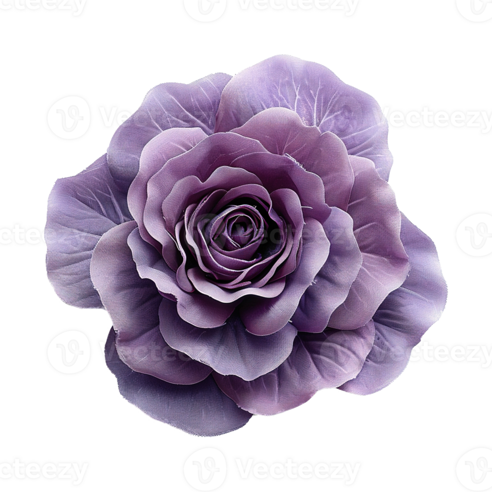 AI generated Purple rose flower isolated on transparent background png