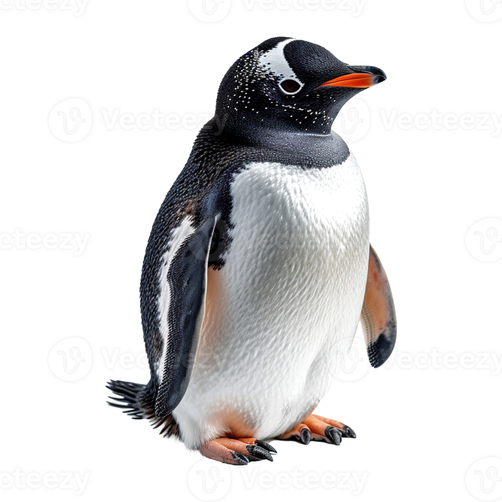 AI generated Penguin isolated on transparent background png