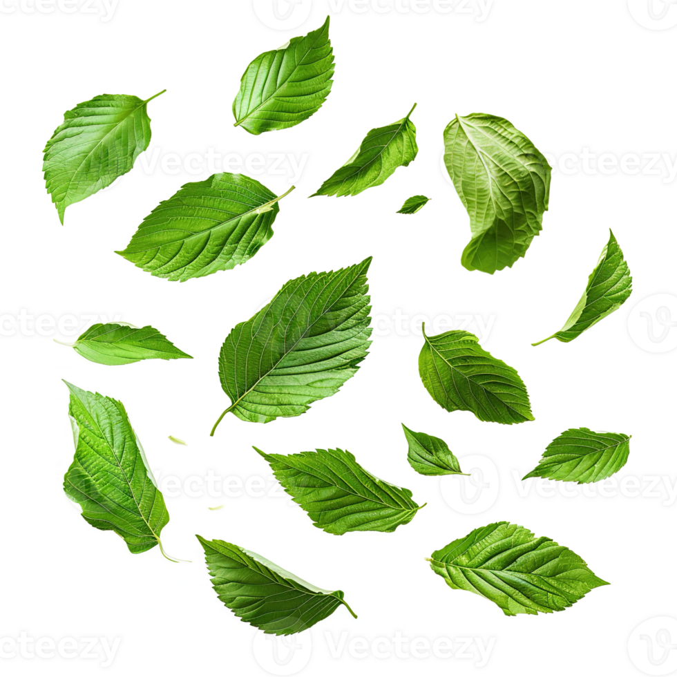 AI generated Leaves fluttering in wind isolated on transparent background png