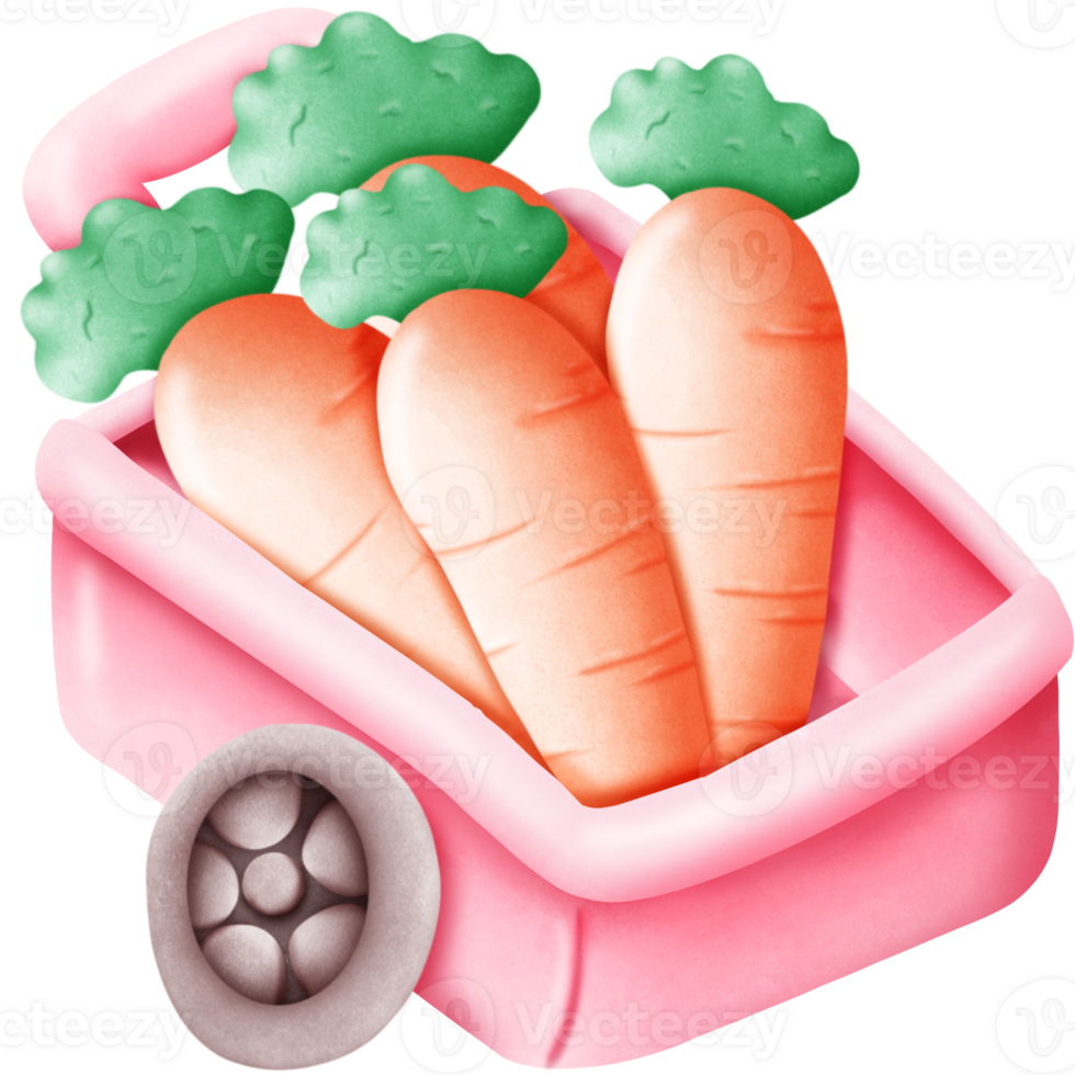 Carrots in the shopping cart png